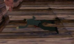 The deceased witness.