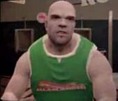 Bas Rutten