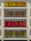 Cans of Bitch'n' Dog Food at a 24/7 outlet in GTA San Andreas. All the cans are labeled as having "Pussy Flavored Horse Eyelids" in the dog food.
