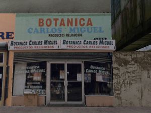 BotanicaCarlosMiguel-GTAVC-LittleHaiti-exterior.jpg