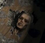 Bradley's corpse in 2013.