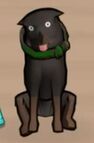 Chop as he appears in the iFruit app.