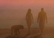 A dog walking with its owners in the first GTA V trailer.