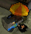 A hot dog vendor.