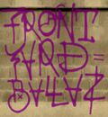 The graffiti used for the Front Yard subsection of the Ballas.