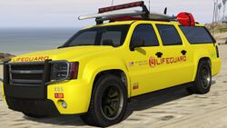 Lifeguard
