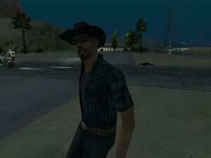 ParanoidCowboy-GTASA-charactermodel.jpg