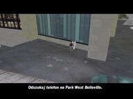 Ray Machowski telling Claude to answer a public pay phone in west Belleville Park.