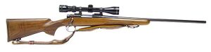 Remington 700.jpg