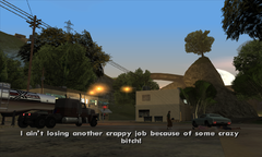 The shopkeepers prepare to chase Carl Johnson and Catalina.