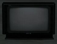 A black television.