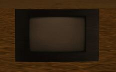 A black wide-screen television.
