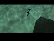 The destroyed helicopter sinking into the water.