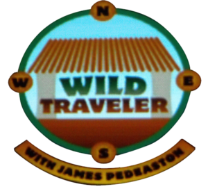 TheWildTraveler-GTASA-logo.png